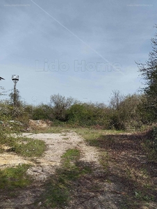 Balatonfűzfő, ingatlan, üzleti ingatlan, 500 m2, 75.000 Ft