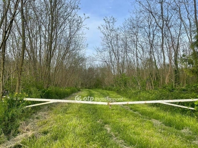 Öreglak, ingatlan, mezőgazd. ingatlan, 65508 m2, 16.500.000 Ft