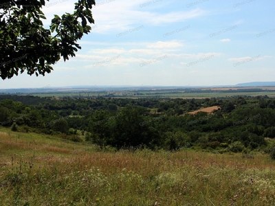 Szőlőhegy, Lovasberény, ingatlan, telek, 60.000.000 Ft