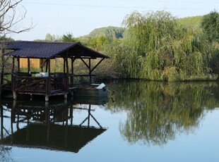 Hajdúszoboszló, ingatlan, ház, 310 m2, 248.000.000 Ft