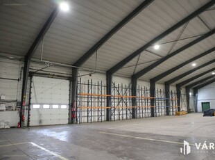 Szeghalom, ingatlan, üzleti ingatlan, 500 m2, 690.000 Ft