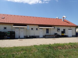 újépítésű, Berekfürdő, ingatlan, üzleti ingatlan, 300 m2, 1.287.000 Ft