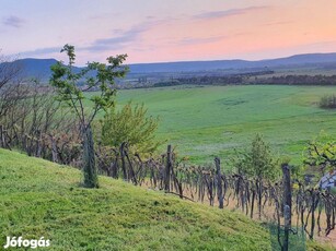 Zártkerti panorámás telek szőlővel, pincével a Csobánc lábánál