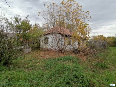 Eladó családi ház - Borota, Bács-Kiskun megye