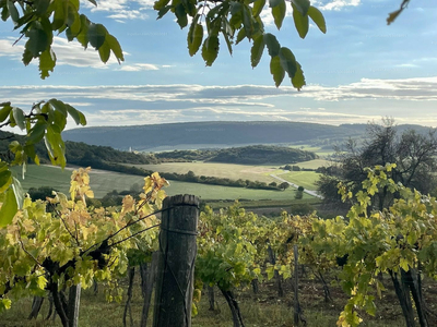 Eladó külterületi telek - Balatoncsicsó, Baádszőlőhegy