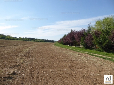 Eladó külterületi telek - Pilisborosjenő, Pest megye