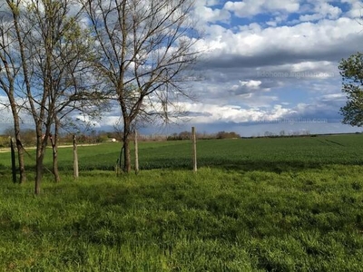 Eladó lakóövezeti telek - Aba, Fejér megye