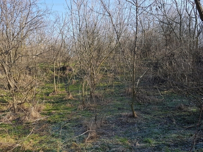 Eladó lakóövezeti telek - Ádánd, Központ