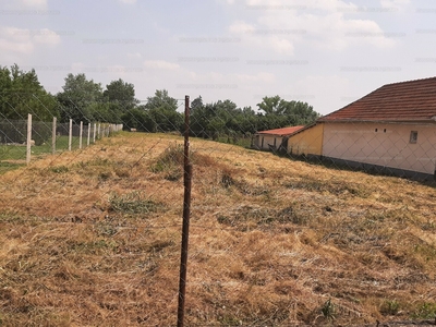 Eladó lakóövezeti telek - Polgár, Erdei utca 5.