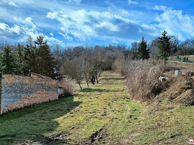 Eladó lakóövezeti telek - Sopron, Balf