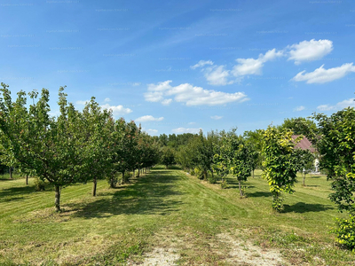 Eladó lakóövezeti telek - Tárnokréti, Fő utca