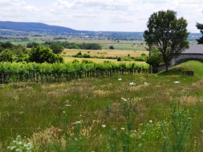 Eladó pince, présház - Köveskál, Veszprém megye