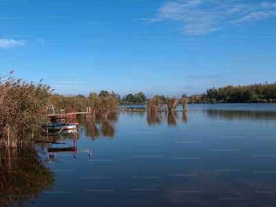 Eladó tanya - Balatonboglár, Somogy megye