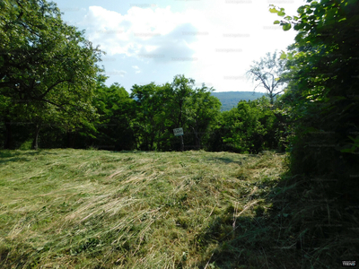 Eladó üdülőövezeti telek - Parád, Parádóhuta