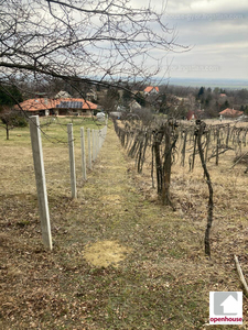 Eladó üdülőövezeti telek - Pázmándfalu, Győr-Moson-Sopron megye