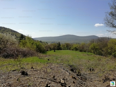 Eladó üdülőövezeti telek - Pomáz, Pest megye