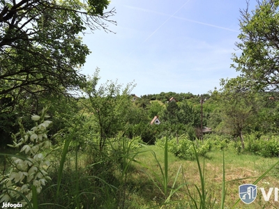 Nyúl völgyében eladó dombra néző panorámás kert lakóépület - Nyúl, Győr-Moson-Sopron - Telek, föld