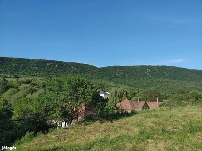 Örökpanorámás lakóövezeti telek Kesztölcön - Kesztölc, Komárom-Esztergom - Telek, föld