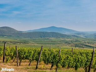 Eladó birtok, Tállya