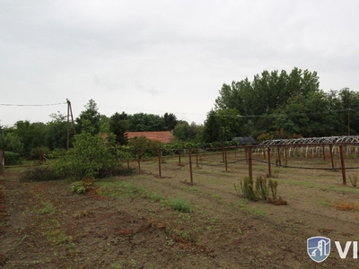 Szatymaz, ingatlan, mezőgazd. ingatlan, 3000 m2, 5.800.000 Ft