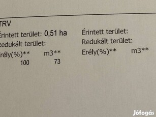 Erdő fásított terület