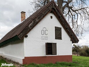 Lesencefalu Újhegyen szőlő birtok nádtetős pincével eladó.