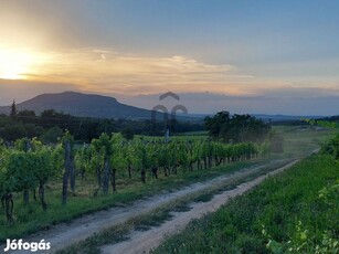 Panorámás beépíthető telek Badacsony-hegyen!