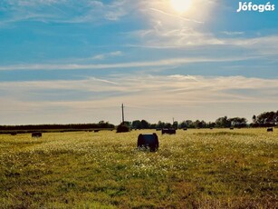 Szántó, legelő 1,5ha