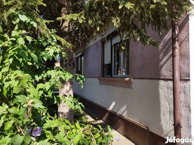 A Tisza-Tónál Tiszafüred-Tiszaörvényen családi ház ,nyaraló eladó