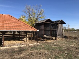 Eladó mezogazdasagi ingatlan Vezseny