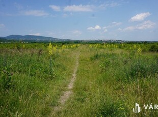 Eladó telek Pomáz