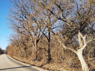 Eladó telekBalatonudvari, Vászolyi út