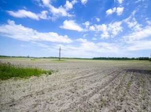 Eladó telekPusztavacs, Dánszentmiklósi út