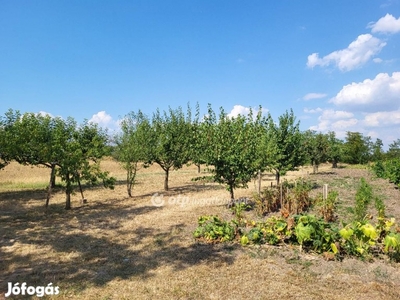 Eladó Mezőgazdasági, Balatonszabadi