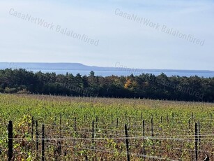 Eladó mezőgazdasági ingatlan - Balatonakali