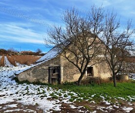 Eladó mezőgazdasági ingatlan - Balatoncsicsó