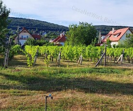 Eladó mezőgazdasági ingatlan - Csopak