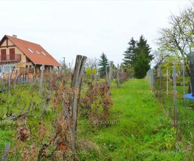 Eladó mezőgazdasági ingatlan - Miskolc