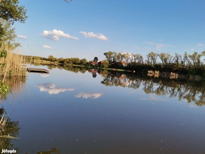 1,5 ha termő Dióskert Bács-Kiskun ban Tisza holtág mellett, eladó - Lajosmizse, Bács-Kiskun - Telek, föld