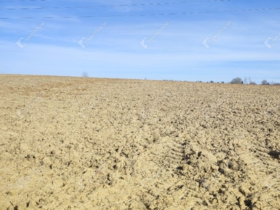 Nagykanizsa, ingatlan, üzleti ingatlan, 3745 m2, 5.700.000 Ft