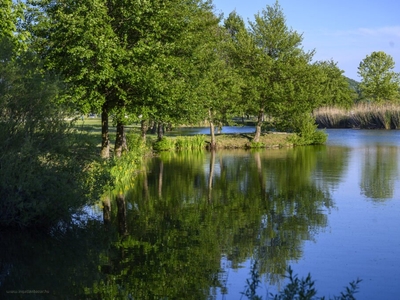 újépítésű, Környe, ingatlan, ház, 150 m2, 130.400.000 Ft