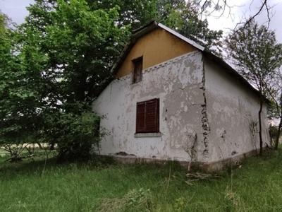 Ásotthalom, ingatlan, ház, 50 m2, 1.900.000 Ft