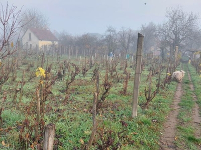 Eladó 540m2 telek Veresegyházon