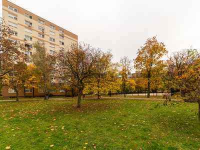 Eladó átlagos állapotú panel lakás - Budapest XV. kerület