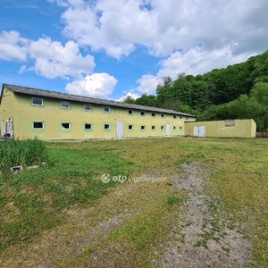 Komló, ingatlan, üzleti ingatlan, 800 m2, 85.000.000 Ft