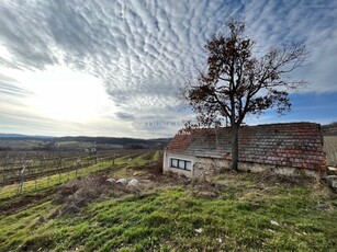 Balatonszőlős, ingatlan, nyaraló, 50 m2, 14.990.000 Ft