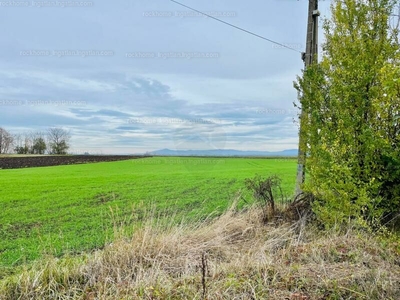 Eladó lakóövezeti telek - Kartal, Pest megye