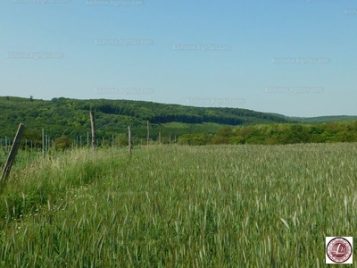 Eladó termőföld, szántó - Balatonendréd, Somogy megye