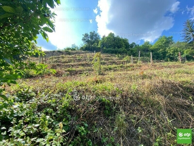 Eladó lakóövezeti telek - Pécs, Baranya megye