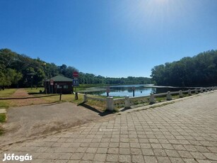 Eladó 261 nm-es Hotel, panzió Lakitelek Holt-Tisza környéke